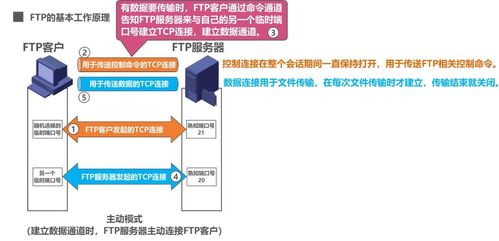 計算機網(wǎng)絡(luò)應(yīng)用層 域名系統(tǒng)DNS、文件傳送協(xié)議FTP與計算機系統(tǒng)服務(wù)
